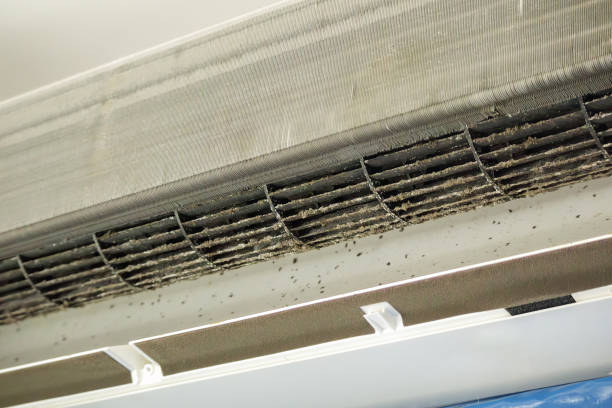 Best Commercial Air Duct Cleaning  in Buckhall, VA